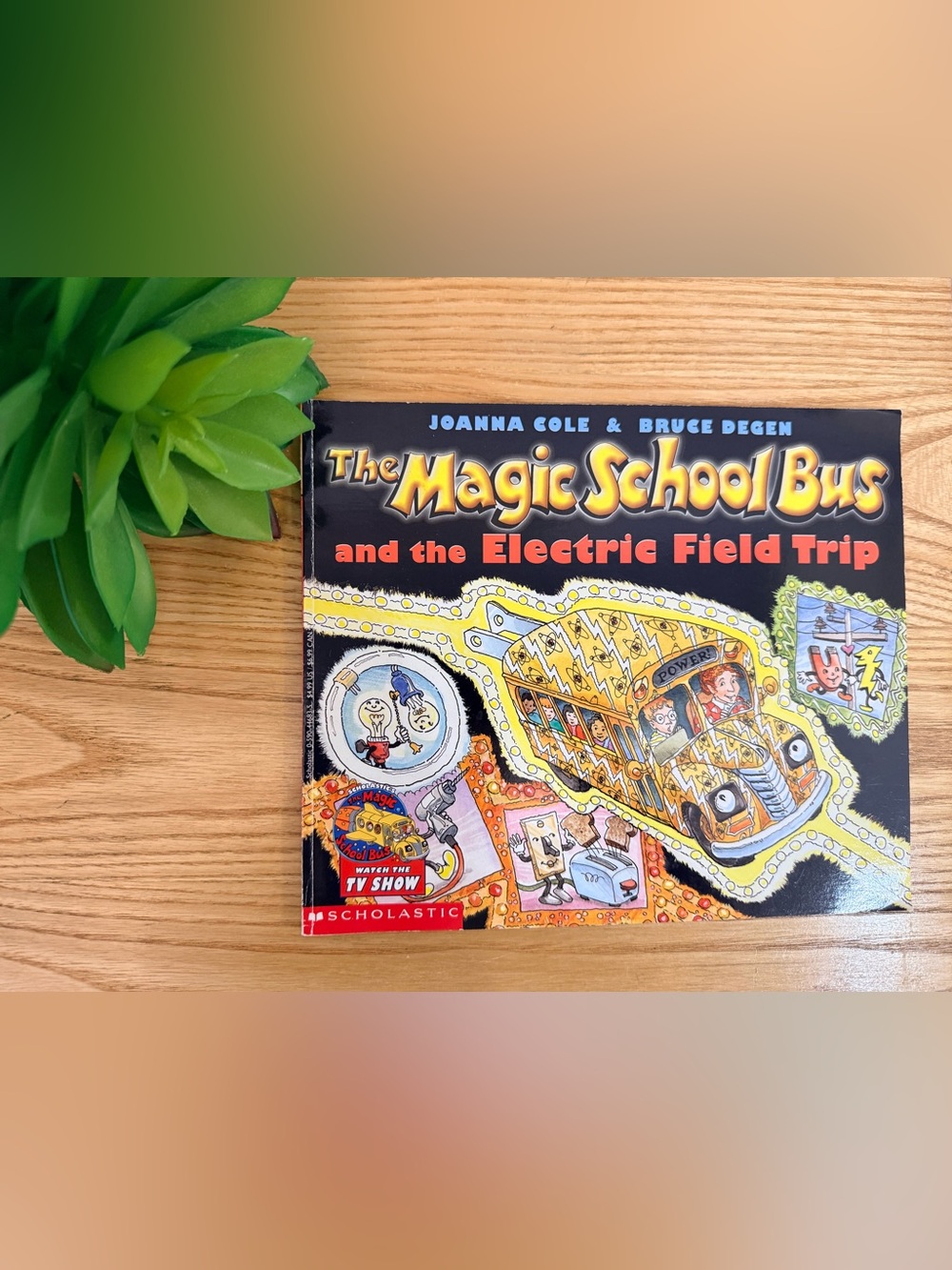 💫10/$25 • Scholastic The Magic School Bus & The Electric Field Trip
